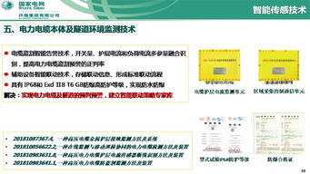 泛在電力物聯(lián)網(wǎng)下智能傳感與人工智能技術(shù)研究及應(yīng)用——以許繼集團翟登輝會議報告為核心